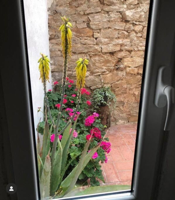 Hébergement de vacances Casa Andorinhas 1